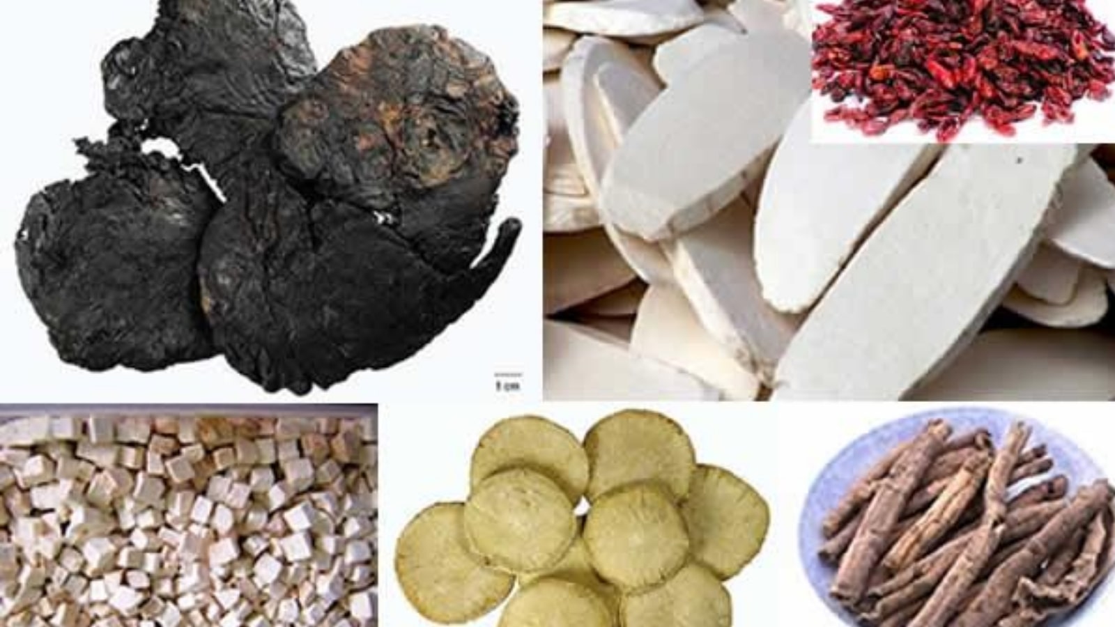 chữa buồng trứng đa nang bằng thuốc nam​